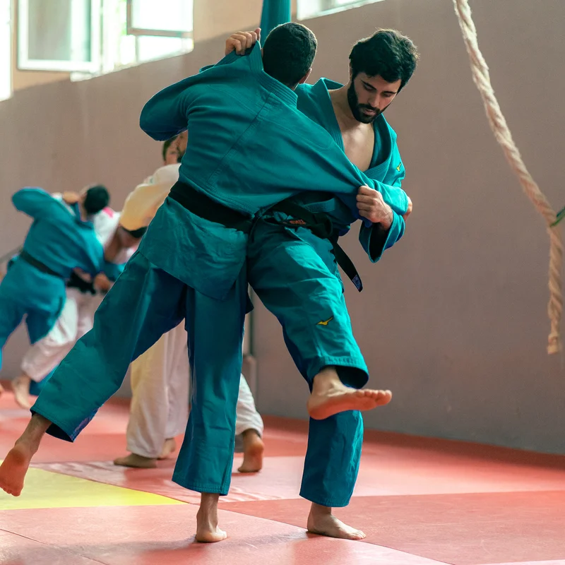Judoka training on the mat during a daily judo camp session in Tbilisi